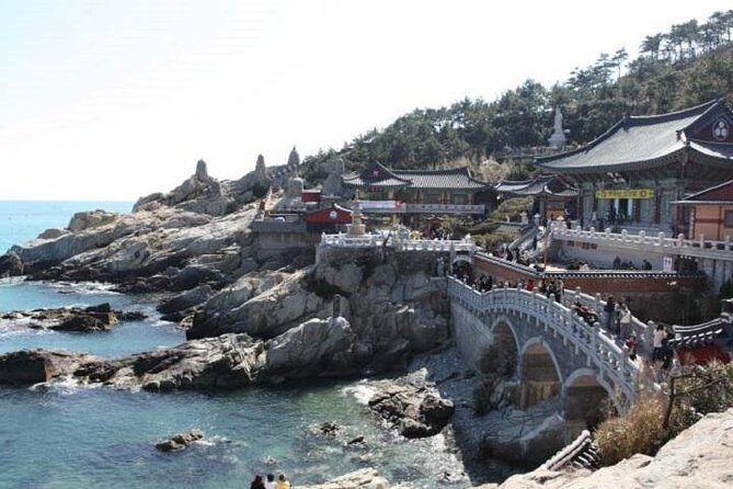 Cruise Layover Busan Highlight Tour with Sea temple and Gamcheon - Gukje Market: Lively Browsing, Local Everyday Life