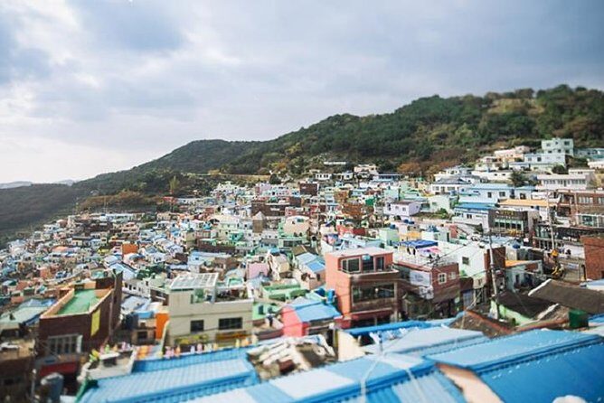 Cruise Layover Busan Highlight Tour with Sea temple and Gamcheon - Jagalchi Fish Market: The System Behind the Seafood