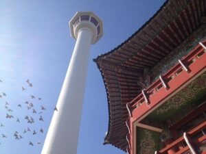 Cruise Layover : Small Group Busan Highlight Day Tour - Meeting at Busan Port: easy pickup, less time wasted