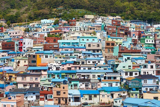 Cruise Layover : Small Group Busan Highlight Day Tour - Haedong Yonggungsa Temple: temple views, real steps, and strong payoff