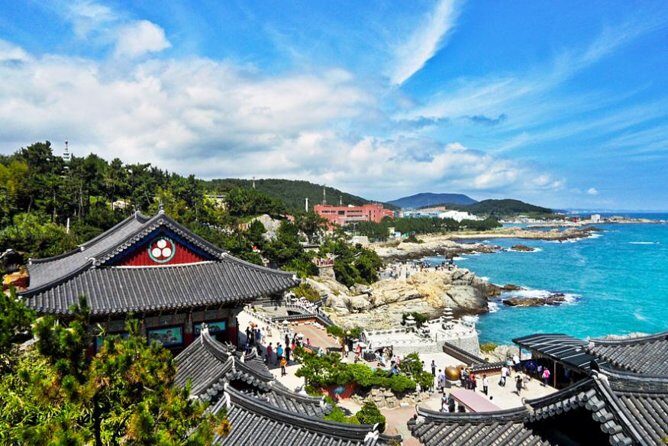 Cruise Layover : Small Group Busan Highlight Day Tour - Gukje Market and Jagalchi Fish Market: where Busan gets loud (and delicious)