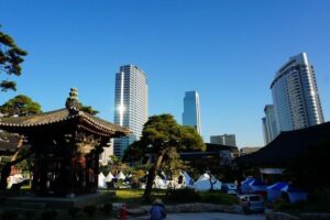 Customized Private Seoul tour: Palace, Market etc(Airport Option) - Choosing your route: what to pair, what to skip