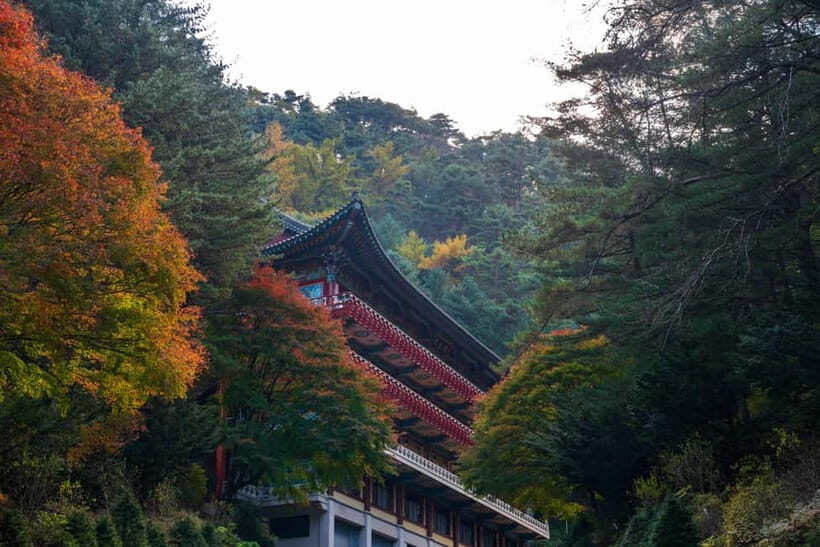 Danyang Tour:Guinsa Temple & Bobaljae & Cheongpung Cable Car - Why Danyang works as a day trip from Seoul
