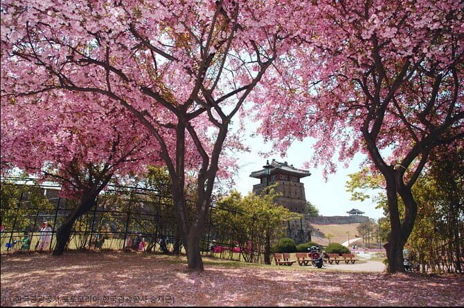 Day Tour of Suwon Hwaseong Fortress Starfield Waujeongsa Temple - Price and value: why $54.95 can work for your day