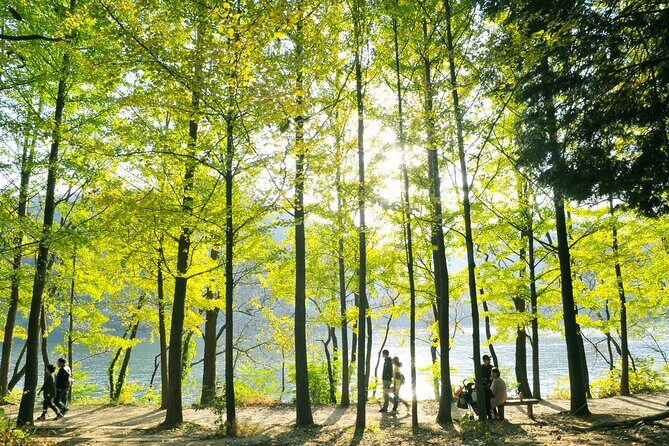 Day Trip to Nami Island with Rail bike and The Garden of Morning Calm - Gangchon Rail Park rail bikes: the fun part, with scenery that feels like a reward
