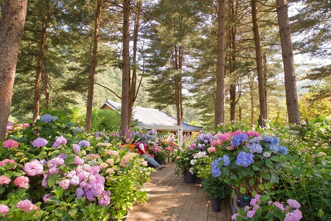 Day Trip to Nami Island with Rail bike and The Garden of Morning Calm - What to pack and how to get the best experience