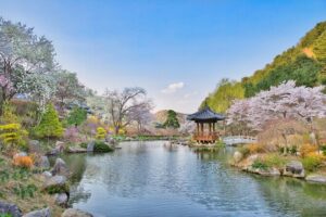 Day Trip to Nami Island with The Garden of Morning Calm - Nami Island: How to use your 4 hours (walking vs. cycling)