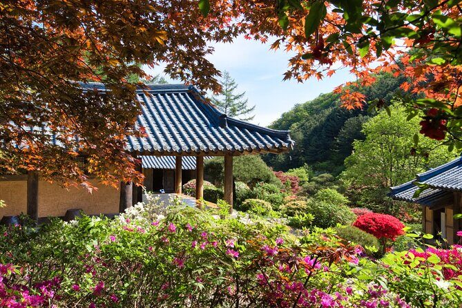 Day Trip to Nami Island with The Garden of Morning Calm - The Garden of Morning Calm: What makes the 2 hours feel special