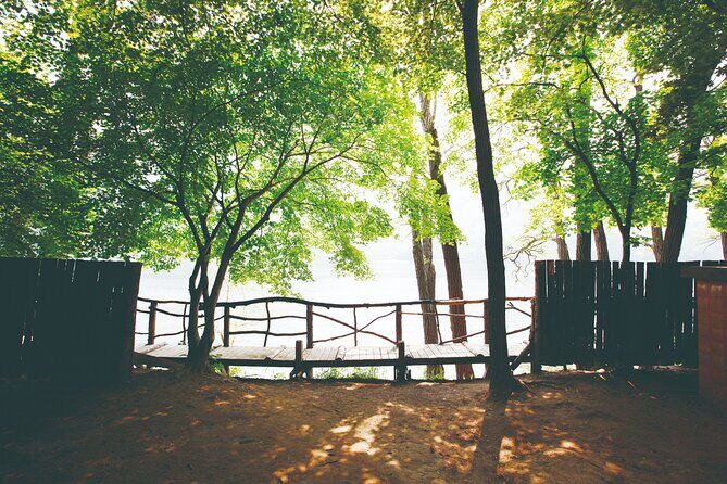 Day Trip to Nami Island with The Garden of Morning Calm - Price and value: Is $50.48 worth it?