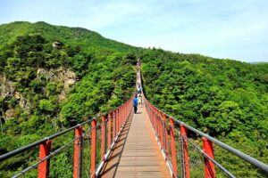 DMZ Tour from Seoul – Optional Suspension Bridge Experience - Third Tunnel: the inside look at how war planning worked