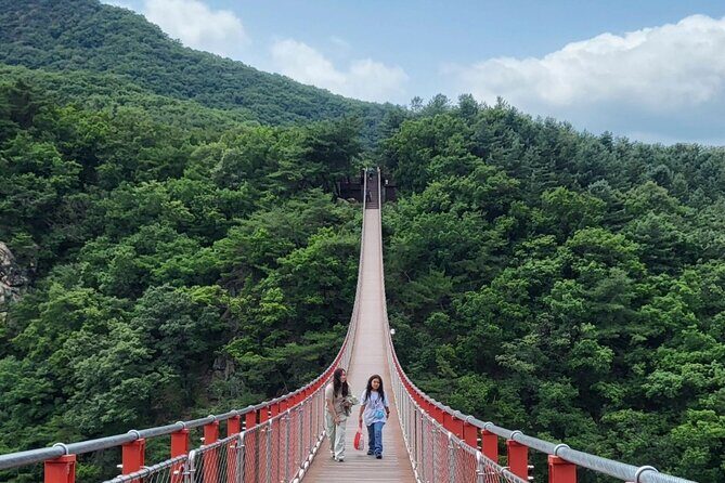 DMZ Tour Seoul to North Korea's 3rd Tunnel & Majang Lake Crossing - Dora Observatory: the telescope moment for seeing North Korea