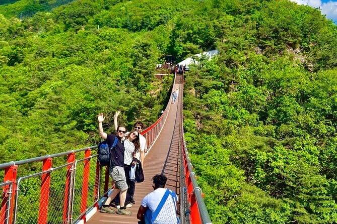 DMZ Tour + The War Memorial of Korea Museum - Price and value for a full-day DMZ + museum combo