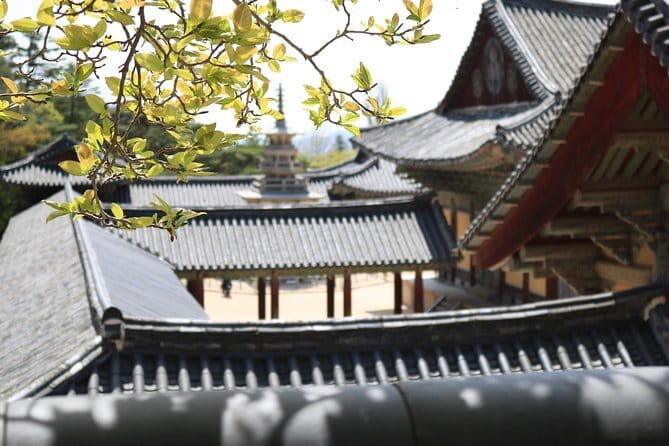 Echoes of Silla Gyeongju Historical Guided Day Tour from Busan - Donggung Palace and Wolji Pond: Silla calm with nighttime mood