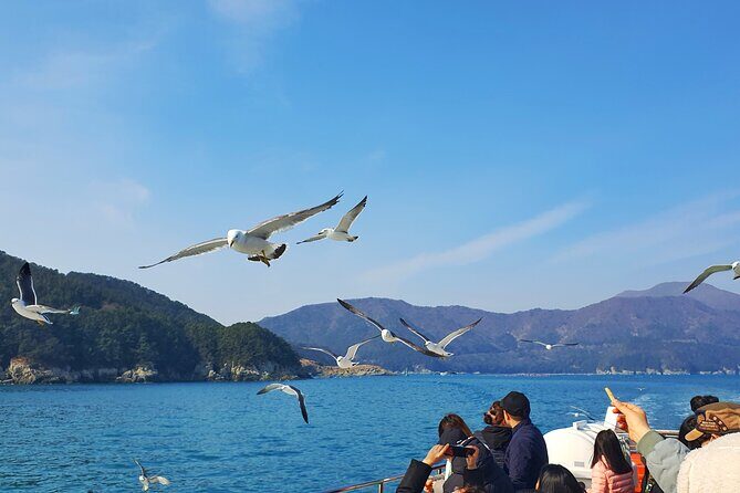 Enchanting Oedo Island Day Tour from Busan with Windy Hill - What’s included (and what you should budget for)