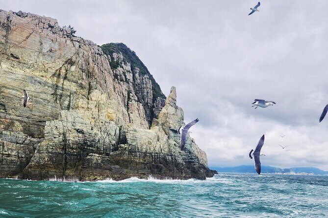 Enchanting Oedo Island Day Tour from Busan with Windy Hill - The pacing reality: 13 hours, three stops, and one big “timing” risk