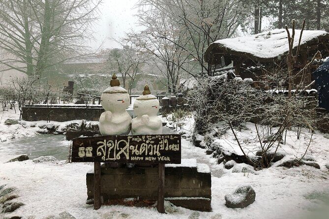 Eobi Ice Valley / Elysian Ski Resort / Nami Island - Nami Island in winter: famous trees, ferry time, and quick strolling