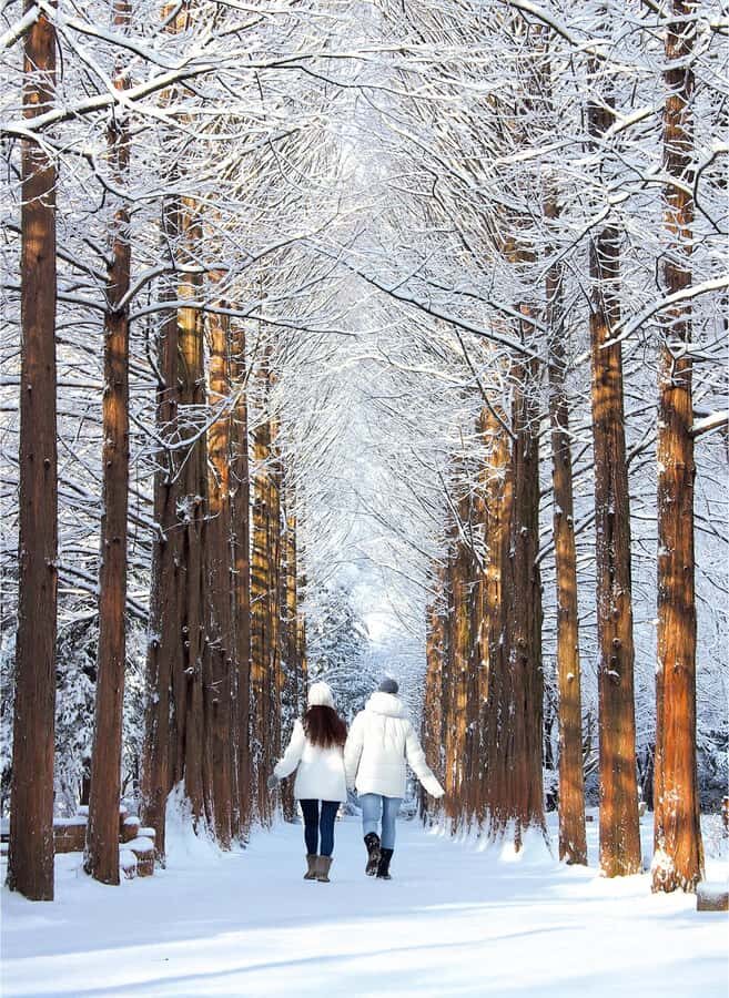 Eobi Ice Valley & Nami (+ Light Festival, Railbike, Alpaca) - Garden of Morning Calm Light Festival: millions of twinkles in serious cold