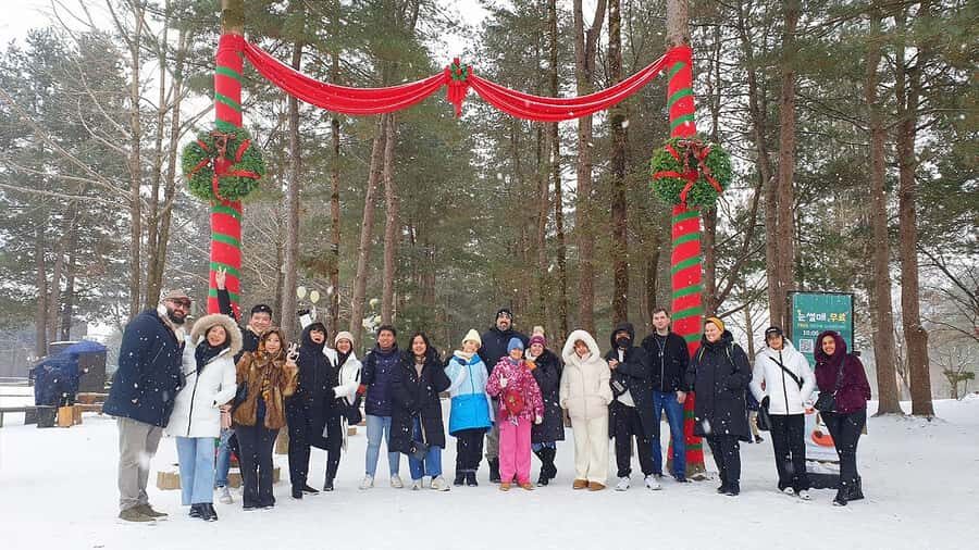 Eobi Ice Valley & Nami (+ Light Festival, Railbike, Alpaca) - Who should book this winter combo trip