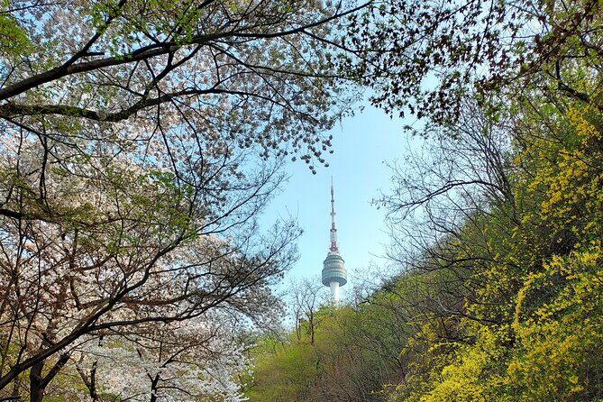 Essence of Seoul, 100% Private Full Day City Tour - Bukchon Hanok Village: Old Houses Around Real Streets