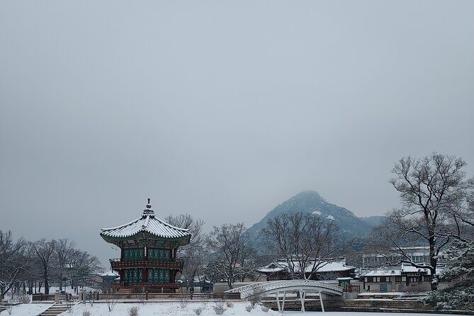 Essence of Seoul, 100% Private Full Day City Tour - N Seoul Tower: Viewpoint Time for First-Timers