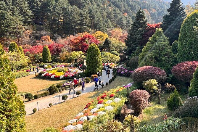 Four Seasons of Nami Island with Garden of Morning Calm Tour - Garden of Morning Calm: filming-location paths in a garden from 1996