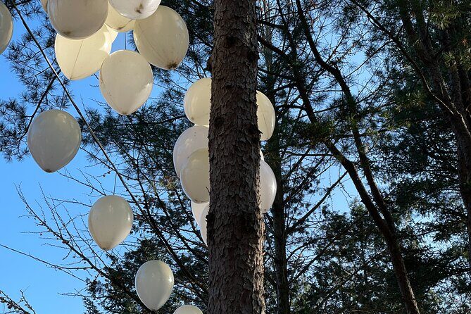 Four Seasons of Nami Island with Garden of Morning Calm Tour - Who this tour fits best (and who might want a different plan)