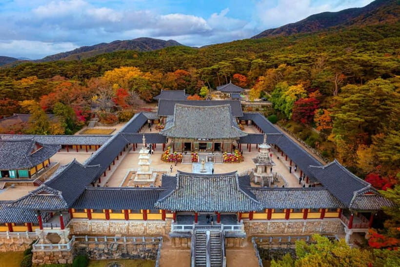 From Busan: Echoes of Silla Gyeongju Historical Day Tour - Price and logistics: what you’re actually paying for