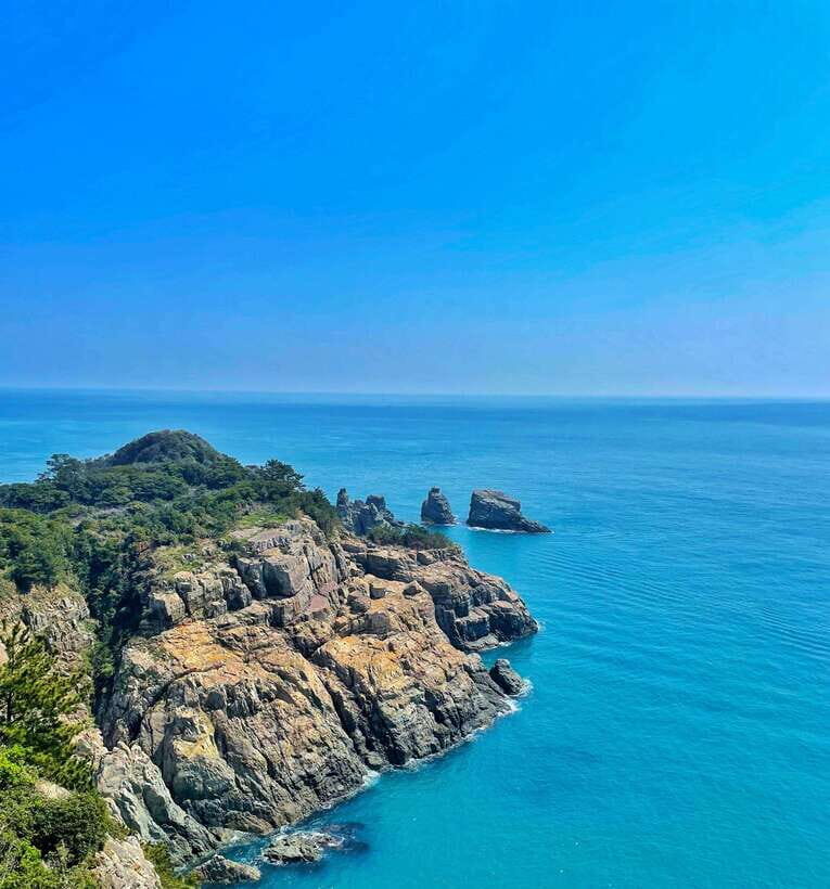 From Busan: Enchanting Oedo Island Day Tour with Windy Hill - Coach time out of Busan: long, but part of the package