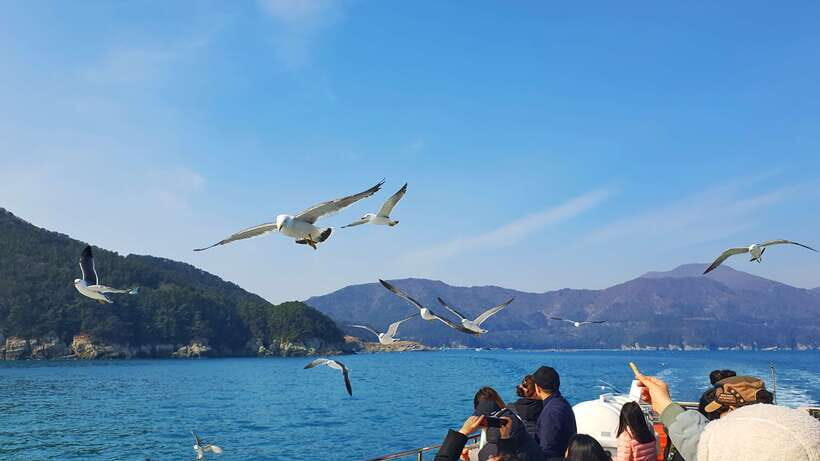 From Busan: Enchanting Oedo Island Day Tour with Windy Hill - Windy Hill after Oedo? How the day flows