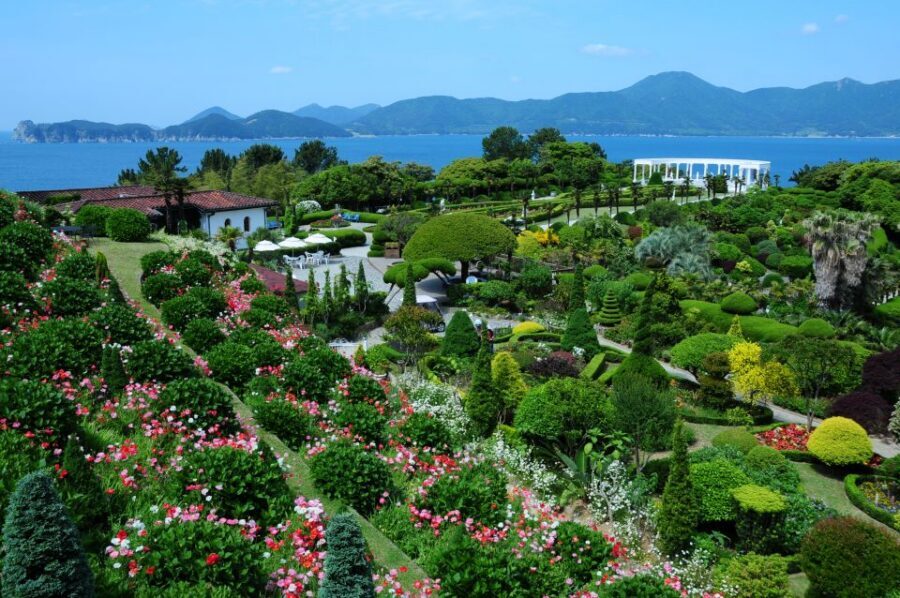 From Busan: Enchanting Oedo Island Day Tour with Windy Hill - Geoje Panorama Cable Car: height, South Sea views, and the glass option