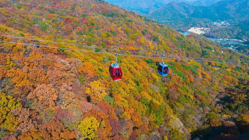 From Busan: Enchanting Oedo Island Day Tour with Windy Hill - What $91 really buys you (and where you’ll spend extra)