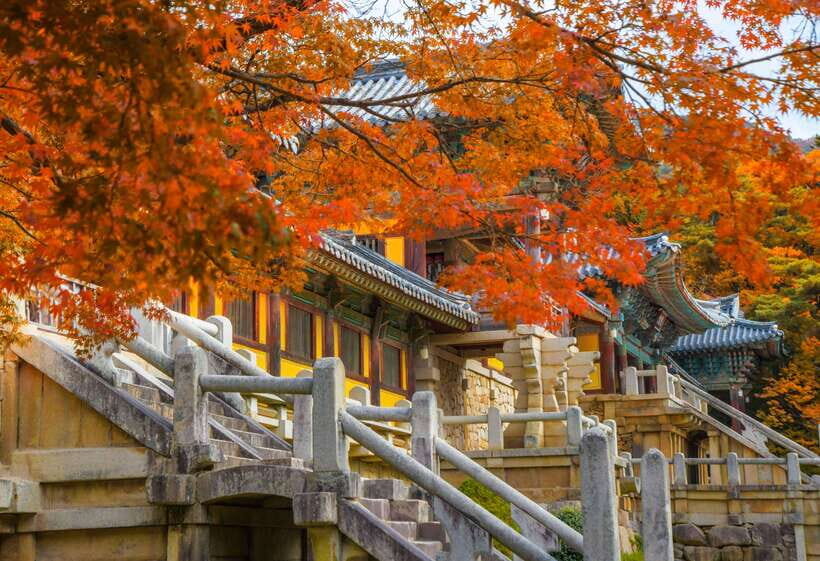From Busan: Gyeongju UNESCO World Heritage Guided Day Tour - Key highlights that actually matter