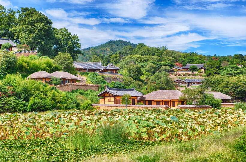 From Busan: Gyeongju UNESCO World Heritage Guided Day Tour - Price and what you’re really paying for at around $52