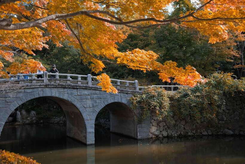 From Busan: Gyeongju UNESCO World Heritage Guided Day Tour - Woljeong Bridge photo stop: why this one gets its own moment