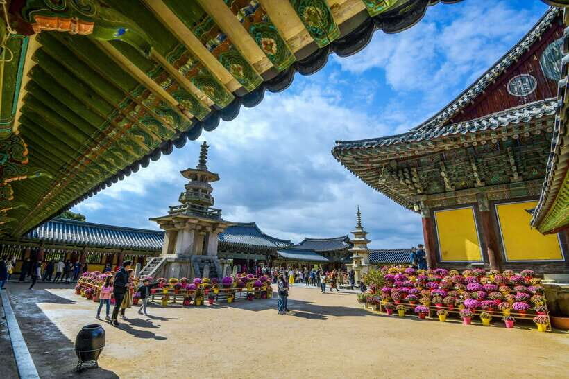 From Busan: Gyeongju UNESCO World Heritage Guided Day Tour - Gyeongju National Museum (Package C): when you want artifacts, not just views