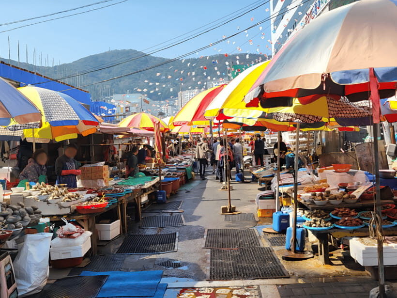 From Busan Port: Sightseeing Tour for Cruise Passengers - Key Takeaways