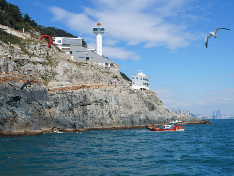 From Busan Port: Sightseeing Tour for Cruise Passengers - Jagalchi Market Time: Seafood Choices in a One-Hour Window