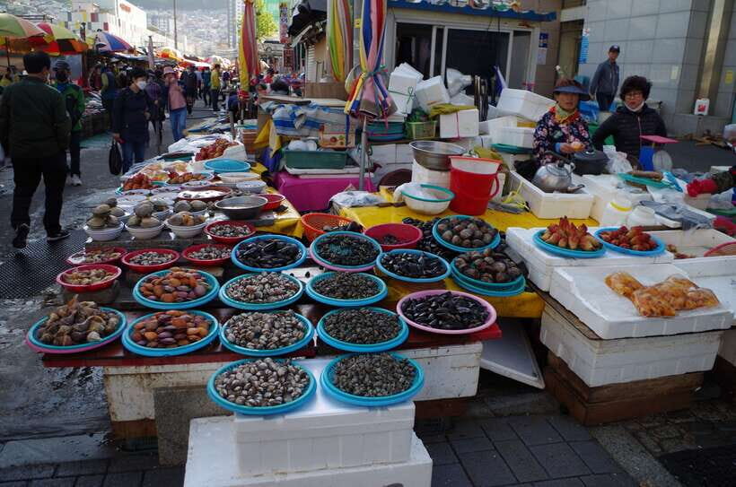 From Seoul: 5-Day Tour of Korea with UNESCO Sites - Key takeaways
