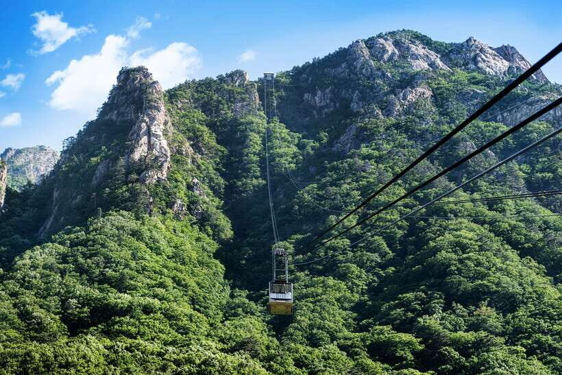 From Seoul: 5-Day Tour of Korea with UNESCO Sites - Day 2: Gwangju memorial seriousness, Suncheon Bay Garden, then Yeosu’s Admiral Yi path