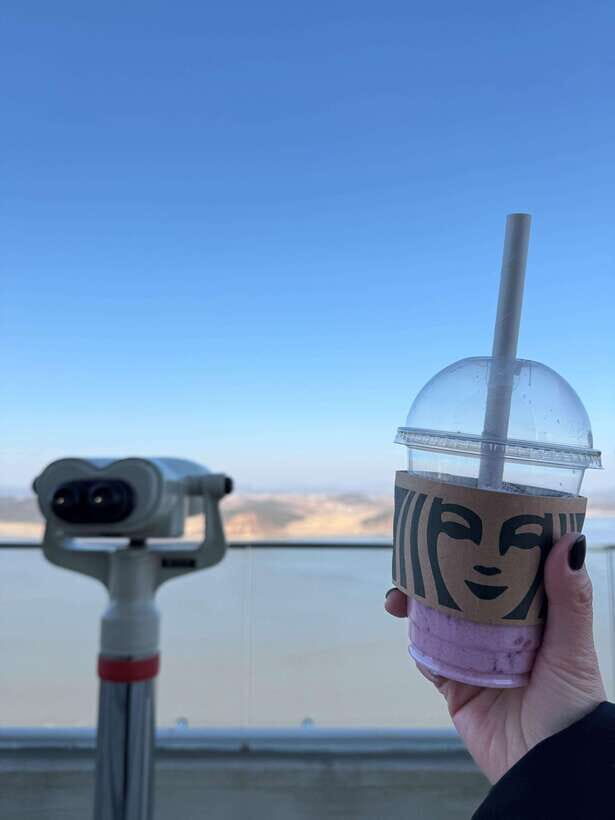 From Seoul: Aegibong Starbucks Observatory & DMZ View - Key highlights worth planning for