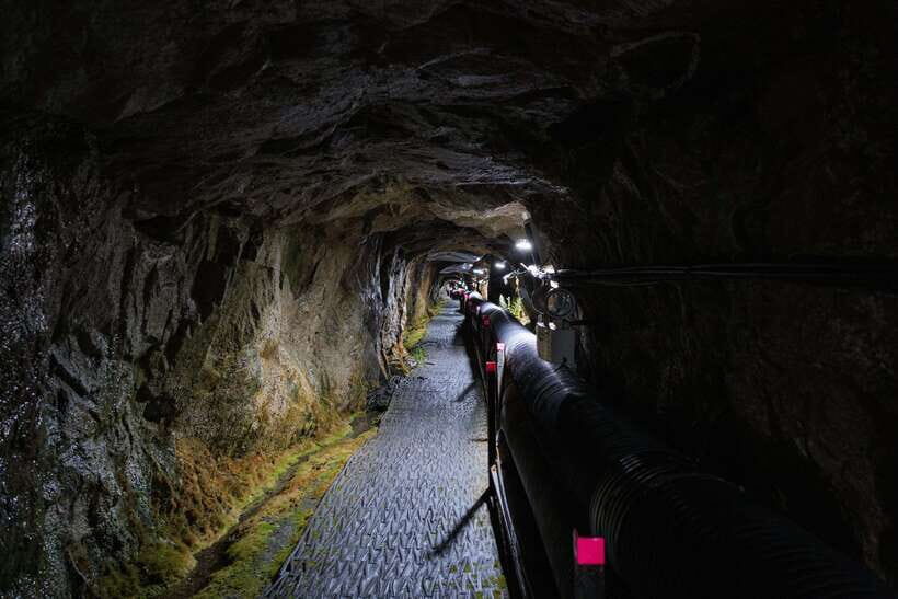 From Seoul: DMZ The 2nd Tunnel and Suspension Bridge Tour - Transfers, group style, and what a good guide actually does