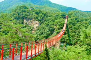 From Seoul: DMZ The 3rd Tunnel and Suspension Bridge Tour - Seoul pickup, shared transport, and the long drive north