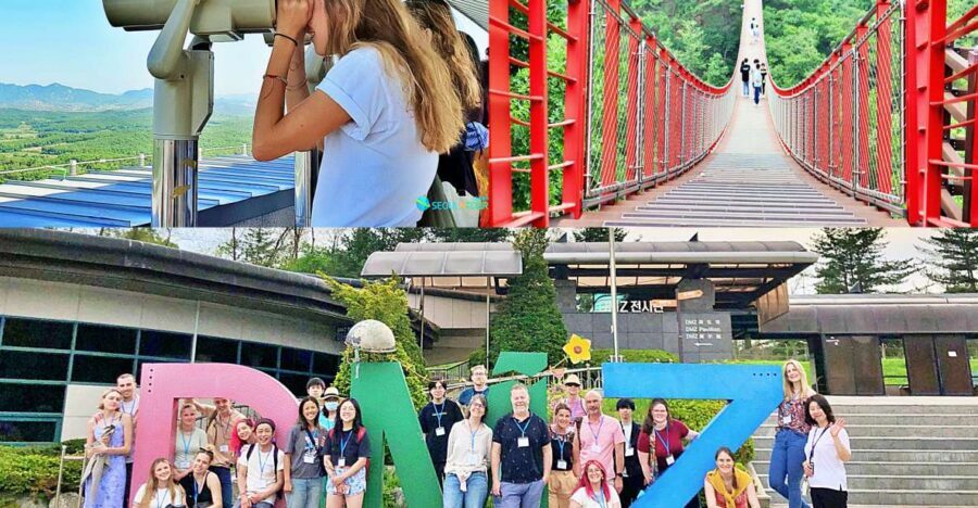 From Seoul: DMZ Tour with Optional Heroes Suspension Bridge - Who should book this DMZ tour (and who should skip it)