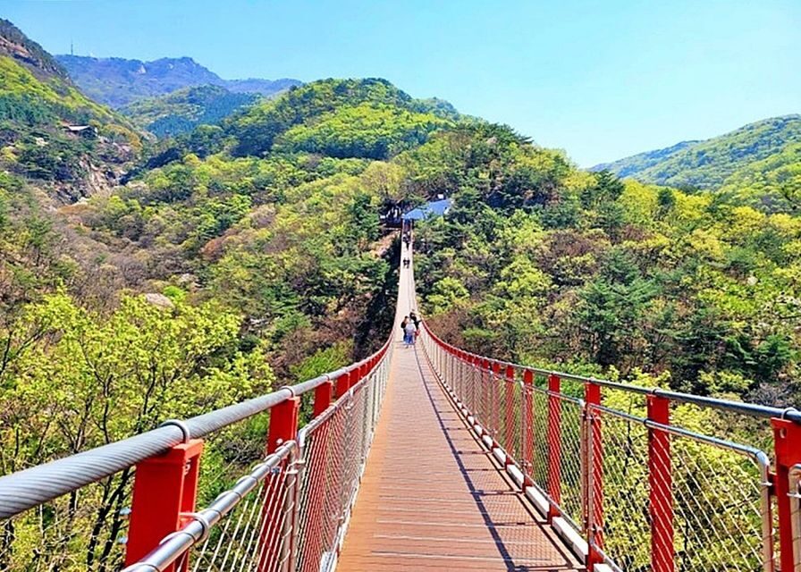 From Seoul: DMZ Tour with Optional Heroes Suspension Bridge - Entering the 3rd Infiltration Tunnel: the stop with real weight