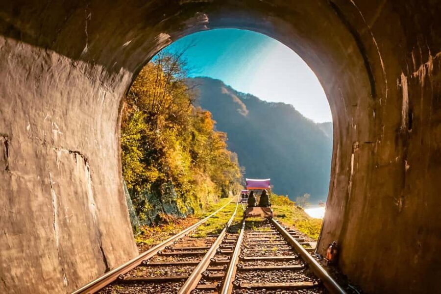 From Seoul: Nami Island, Korean Garden & Rail Bike Day Trip - Key things that make this day trip work