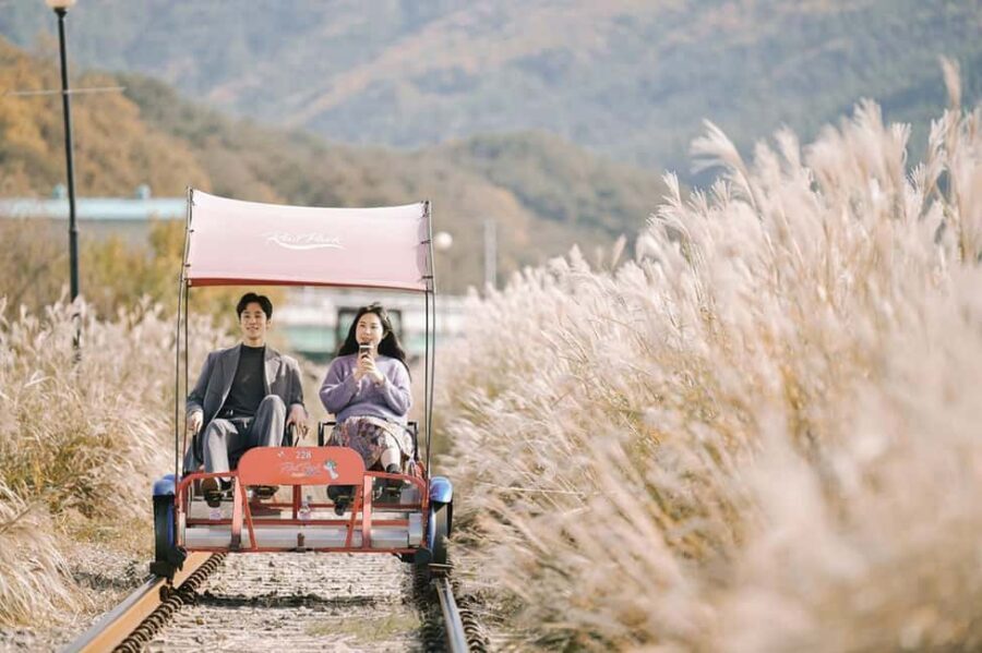 From Seoul: Nami Island, Korean Garden & Rail Bike Day Trip - Price and what you really get for $55