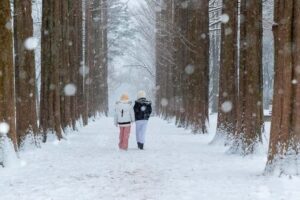 From Seoul: Nami Island, Korean Garden & Rail Bike Day Trip - How the day is paced (and why order can shift)