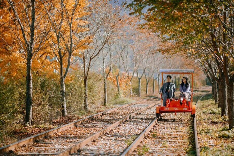From Seoul: Nami Island, Korean Garden & Rail Bike Day Trip - Start the day at the Garden of Morning Calm