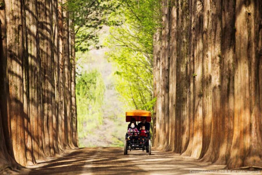 From Seoul: Nami Island, Korean Garden & Rail Bike Day Trip - Transport from Seoul: the comfort you pay for
