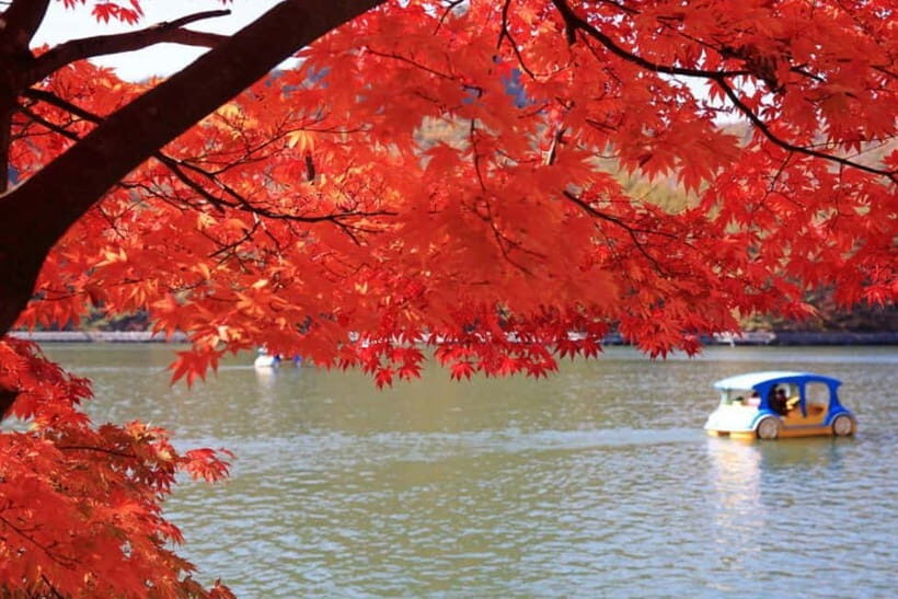 From Seoul: Pocheon, Sanjung Lake and Bidulginang Fall Trip - Who This Tour Fits Best (and Who Should Rethink It)
